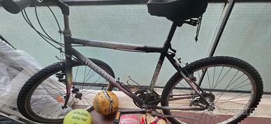 Bicicletta MTB Bimm Bartali