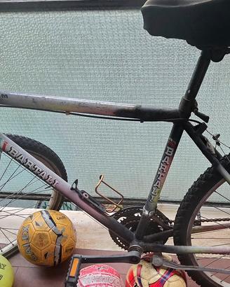Bicicletta MTB Bimm Bartali