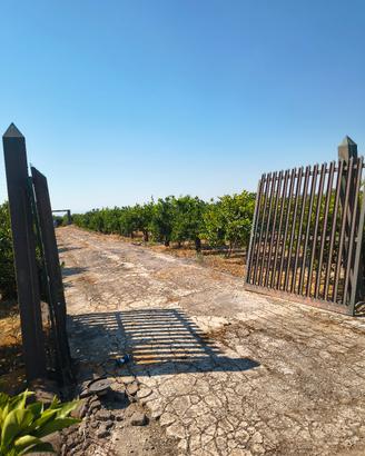cancello in ferro 