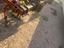 Immagine 14