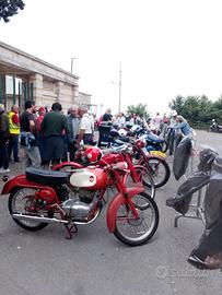 Gilera Altro modello - 1958