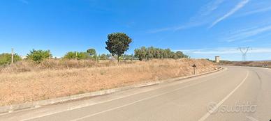 Terreno in zona D Sanluri