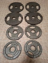 Dischi Olympia in Ghisa