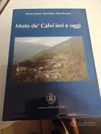 Moio De' Calvi- Valtorta-Serina-Oltre il Colle