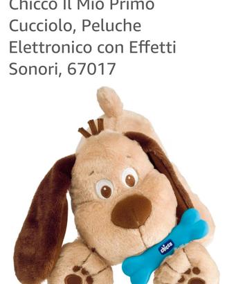 cucciolo chicco