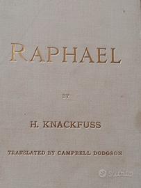 Raffaello Monografia 1898