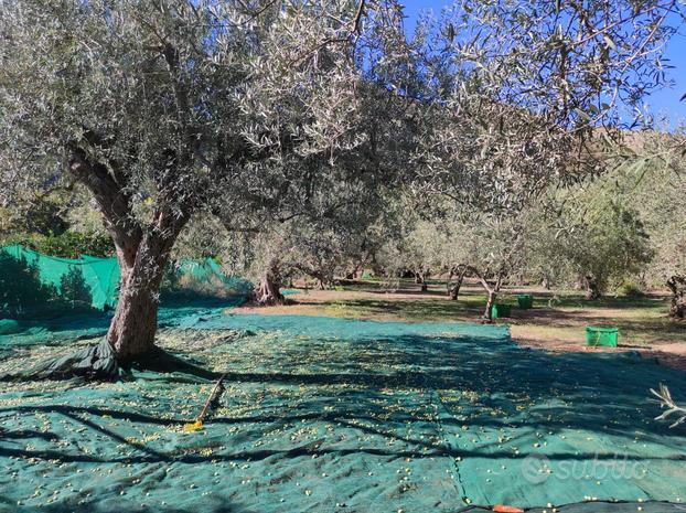 GOLE ALCANTARA terreno agricolo 1 ettaro