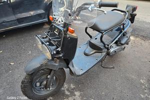  Honda zoomer 50