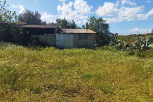 Terreno edificabile Solarussa