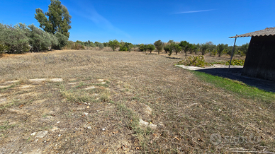 Terreno di 1000 metri a Uta