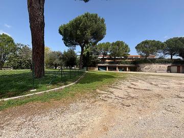 Magazzino Anagni [Cod. rif 3229303ACG]