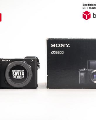 Sony A6600