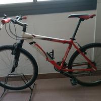 Bicicletta Bottecchia