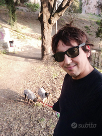 Assistenza anziani domestico custode badante