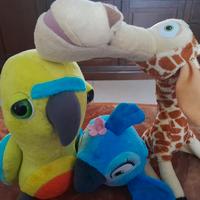 pappagallo,  giraffa e pappagallina