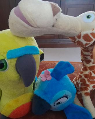 pappagallo,  giraffa e pappagallina