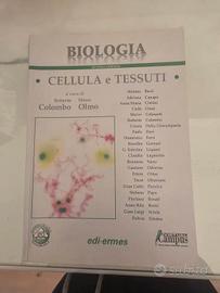 libro università medicina o equipollenti 