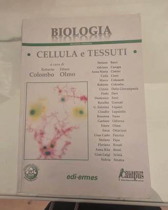 libro università medicina o equipollenti 