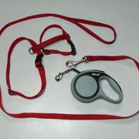 Guinzaglio Flexi XS 3mt con accessori
