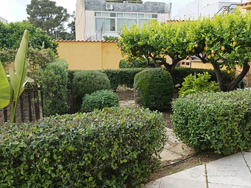 Appartamento bilocale con giardino e posto auto