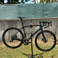 Trek Domane