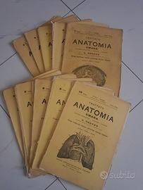 Trattato di Anatomia Umana L. TESTUT