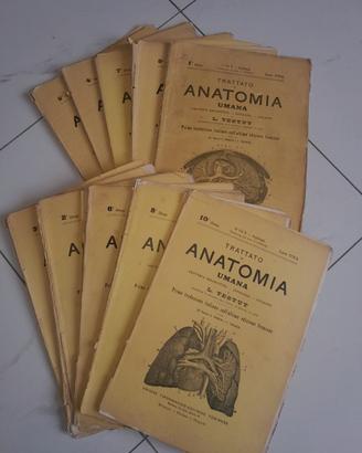 Trattato di Anatomia Umana L. TESTUT