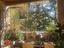 Immagine 23