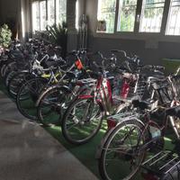 Bicletta Elettrica - Biciclette Elettriche _ Usato