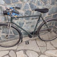 Bici Frejus verde uomo 26