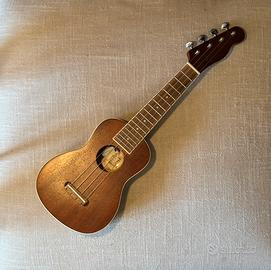 Ukulele fender