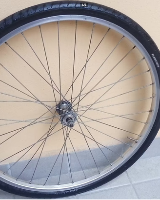 Ruota Ant Bici MTB