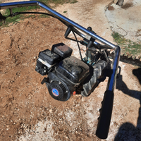 Falciatrice bertolini