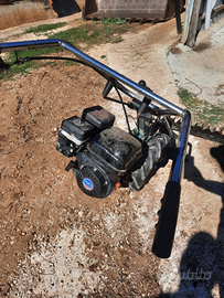 Falciatrice bertolini