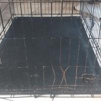 Kennel gabbia