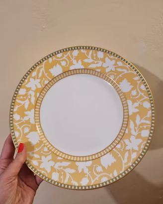 Servizio Ginori Delhi ( collezione )