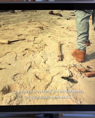 Tv 55 pollici Samsung
