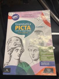 libro scuola grammatica Picta