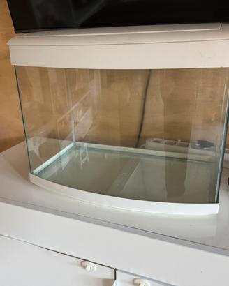 Acquario 40 litri