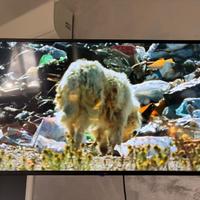 Android TV 42" Full HD ANTTEQ - Mod. AG42F3