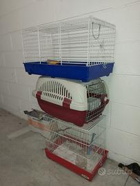 Gabbie coniglio uccellini