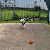 Portami a casa con te, regalami una vita vera