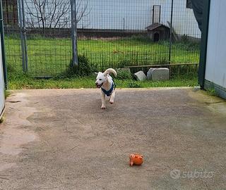 Portami a casa con te, regalami una vita vera