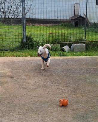 Portami a casa con te, regalami una vita vera