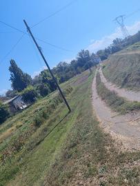 Terreno agricolo Modena est con pozzo idrico