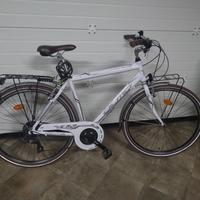 bicicletta olmo da passeggio 