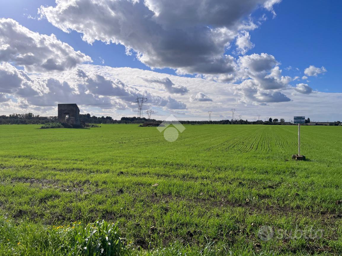 TER. AGRICOLO A MESAGNE - Altro