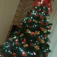 albero di natale 