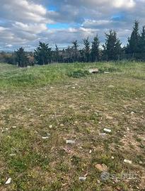 Terreno agricolo selargius SP8