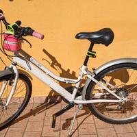 Bicicletta Silver Star  24